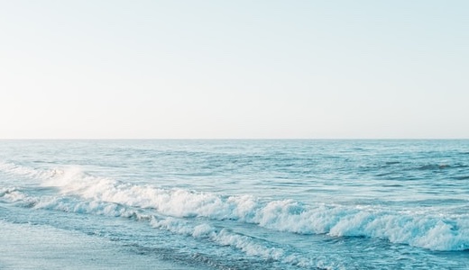 ROG CAFE 閉店のお知らせ